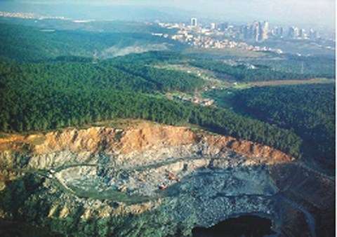 2006 yılı